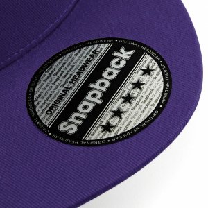 apc-rapper-snapback_2362_809.jpg