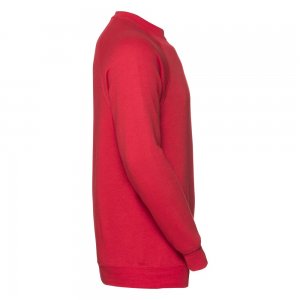 sweatshirt-raglan-russell_2590_601.jpg